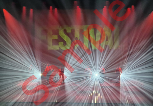 Festival des arts martiaux 2025